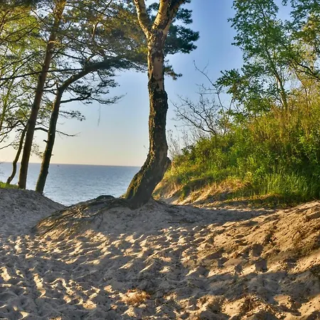 Polanki Aqua Premium - W Cenie Nielimitowany Dostep Do Strefy Aqua * Kolobřeh